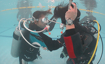 各種イベントの企画運営